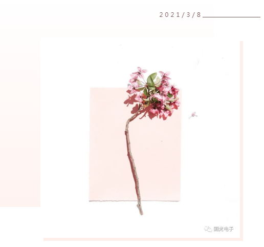 澳门·威尼斯人